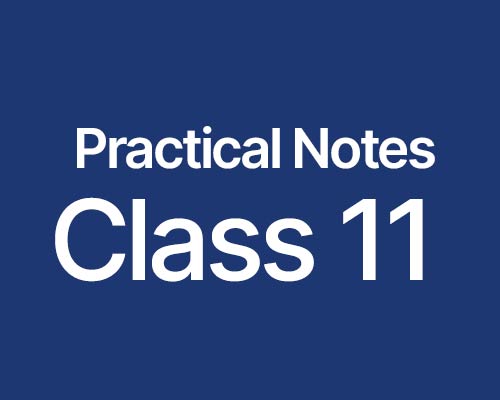 Download CBSE Class 11 Practical Notes