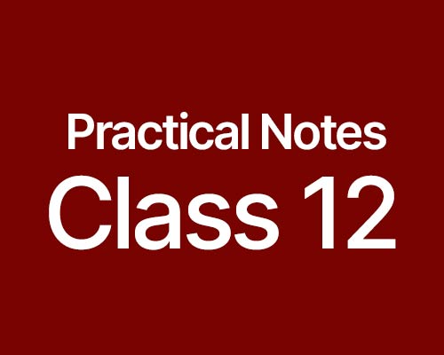 Download CBSE Class 12 Practical Notes