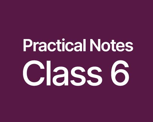 Download CBSE Class 6 Practical Notes