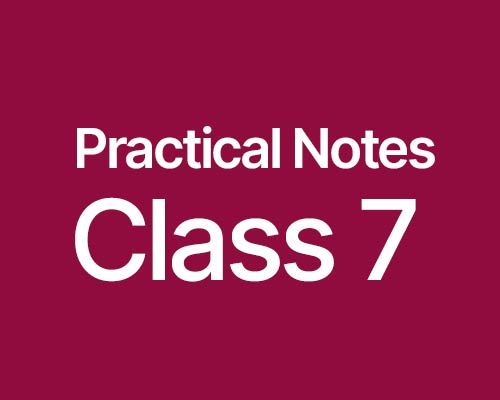 Download CBSE Class 7 Practical Notes