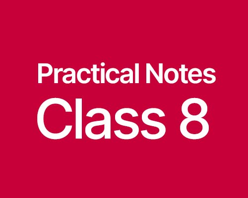 Download CBSE Class 8 Practical Notes