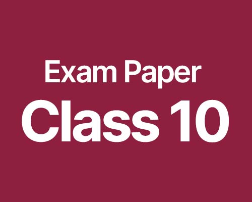 Download CBSE Exam Paper 10