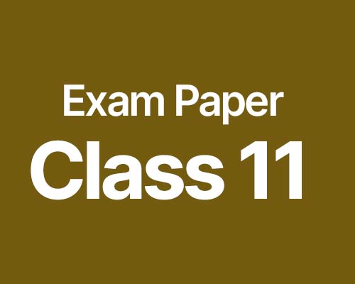 Download CBSE Exam Paper 11