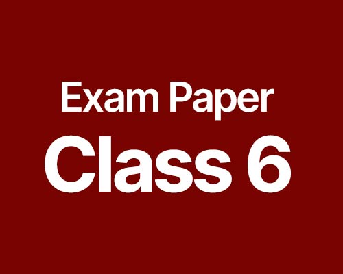 Download CBSE Exam Paper 6