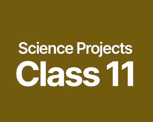 download cbse science projects 11