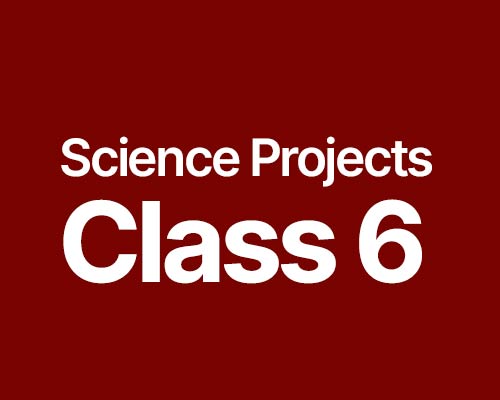 download cbse science projects 6