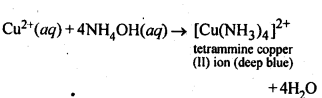 CBSE Class 12 Chemistry Notes Chapter 7 The p-Block Elements