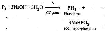 CBSE Class 12 Chemistry Notes Chapter 7 The p-Block Elements