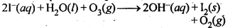 Chemistry Notes Chapter 7 The p-Block Elements