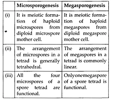 microsporogenesis and megasporogenesis