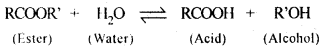 Chapter 5 Surface Chemistry Class 12 Chemistry Notes