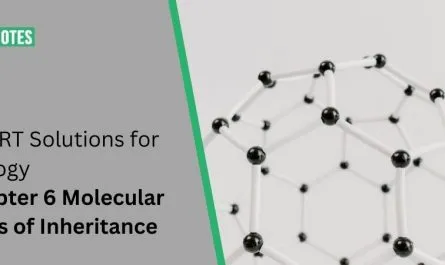 Molecular Basis of Inheritance