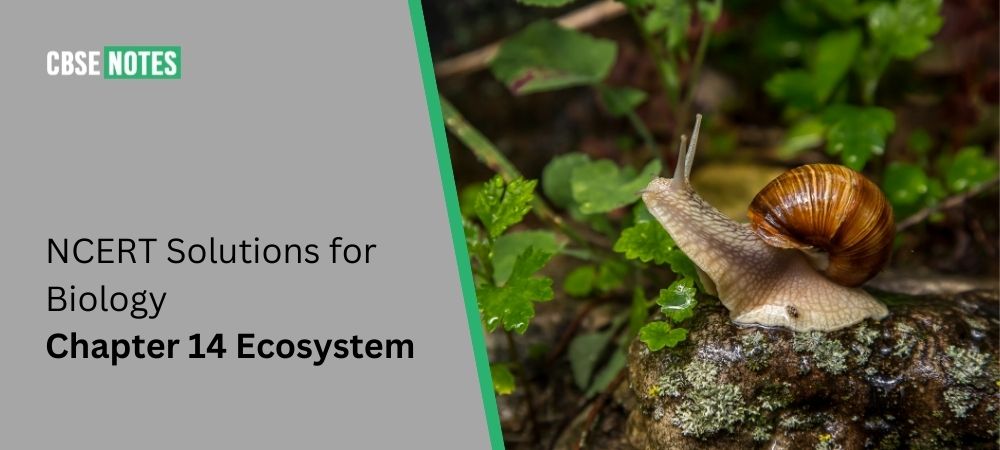 NCERT Solutions for Biology Chapter 14 Ecosystem