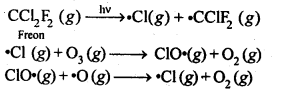 aerosols deplete ozone