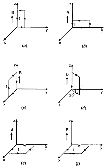 stable equilibrium