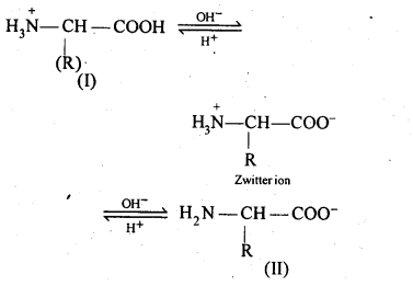  amino acids