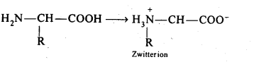  amino acids