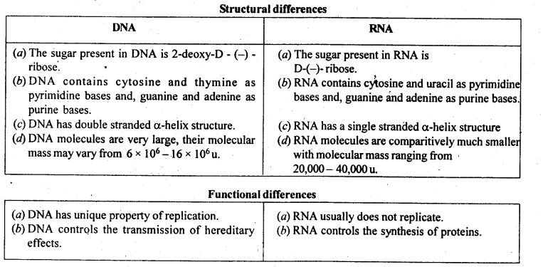 DNA and RNA