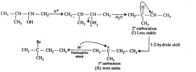 carbon atom