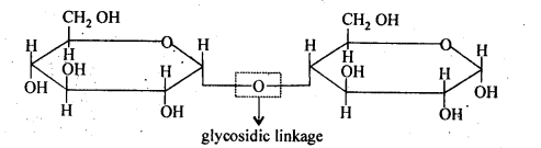 glycosidic linkage