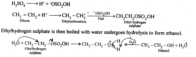 hydration of ethene 