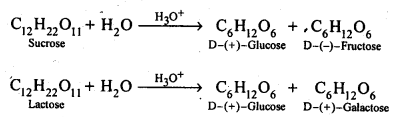 sucrose and lactose