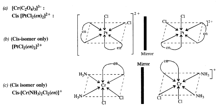 structures of optical isomers 