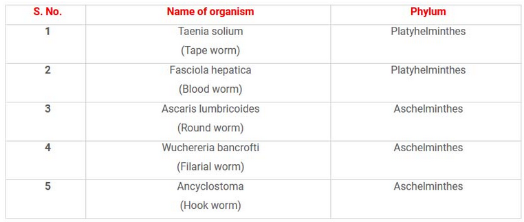 parasitize people