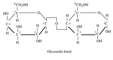  glycosidic bond