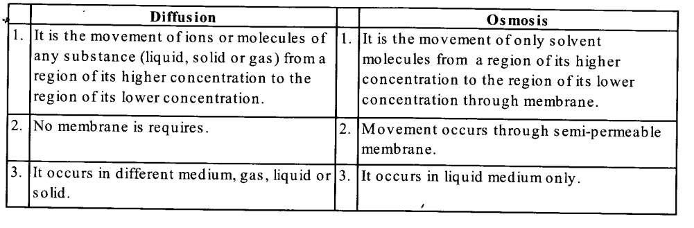 Diffusion and Osmosis