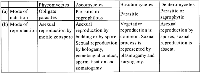 Phycomycetes