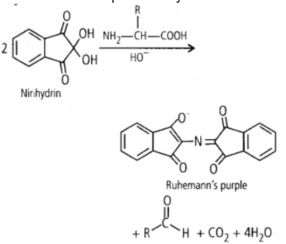 ninhydrin,Ruhemann's purple