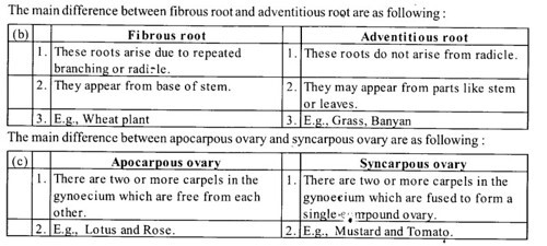 fibrous root and adventitious root