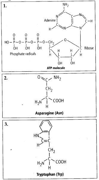 small molecular weight biomolecules