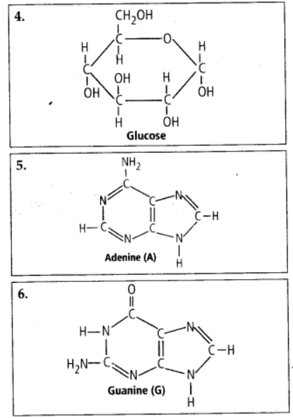 small molecular weight biomolecules