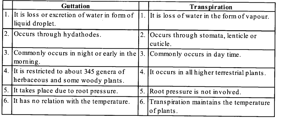 Guttation and Transpiration