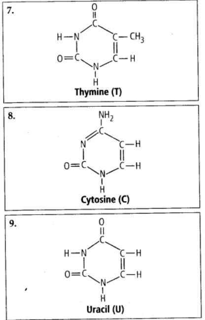 small molecular weight biomolecules