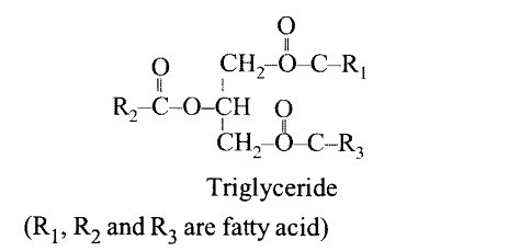 triglyceride