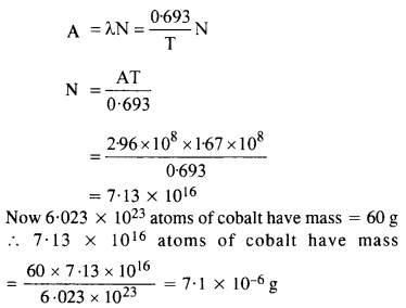 NUCLEI