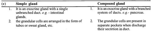 simple gland and compound gland 