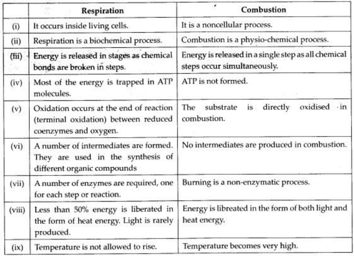  combustion and respiration