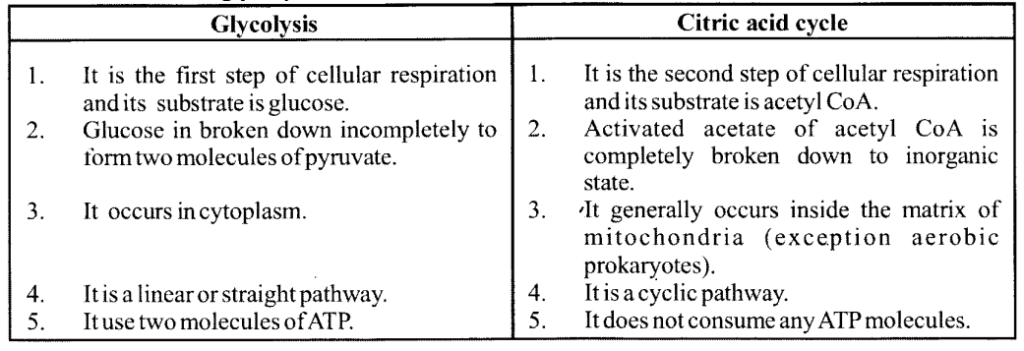 Glycolysis & Citric acid cycle