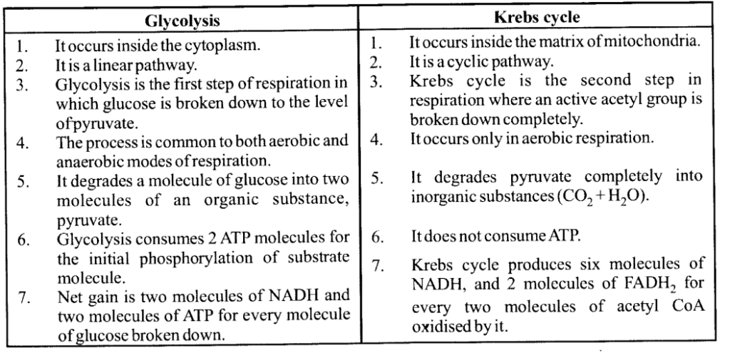 Glycolysis and Krebs’ cycle