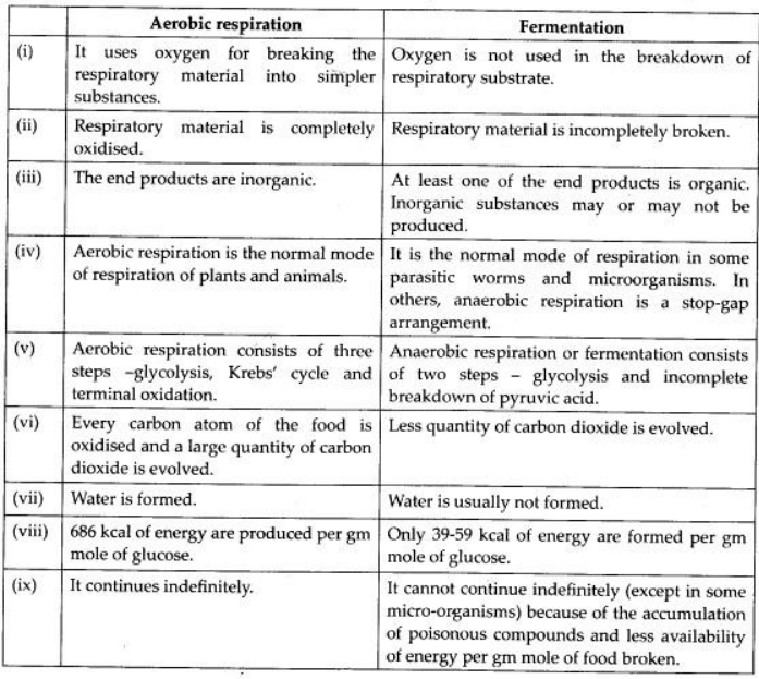 Aerobic respiration and Fermentation