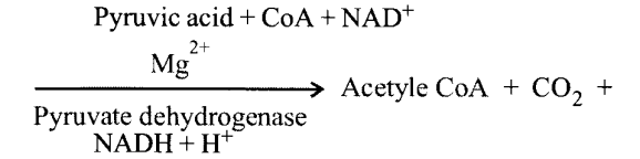 pyruvic dehydrogenase catalyses