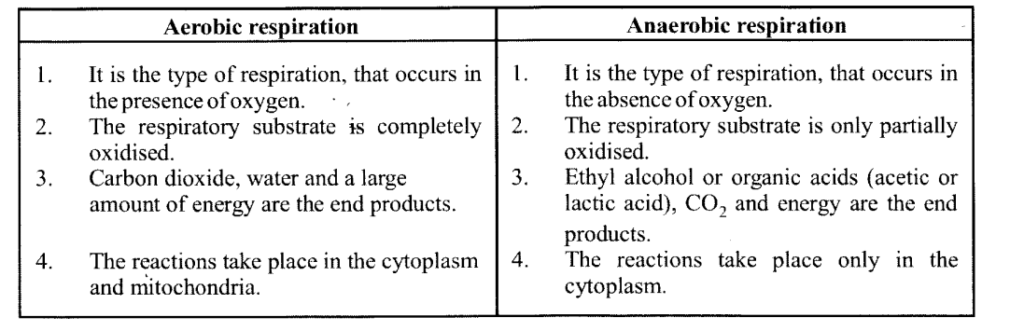 Aerobic & Anaerobic respiration